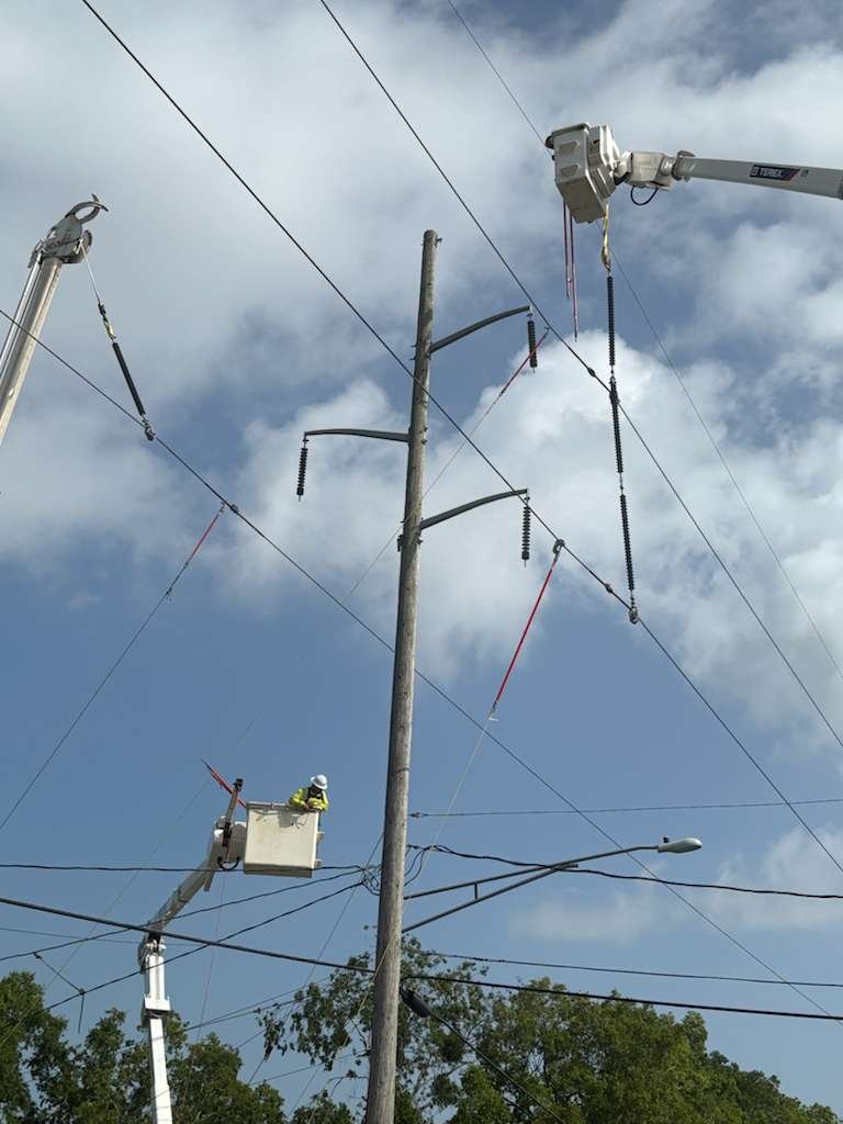 WhatsApp Image 2026-01-26 at 12.24.07 PM (2)