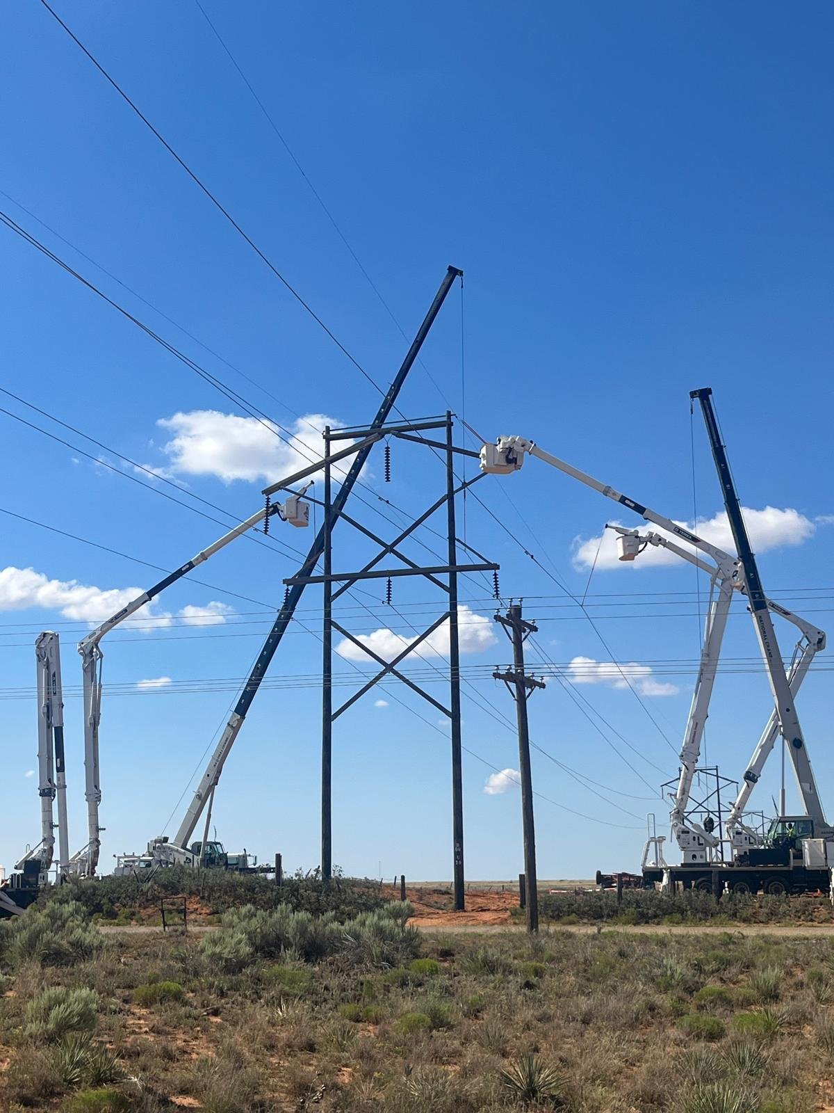 WhatsApp Image 2026-01-26 at 12.46.55 PM